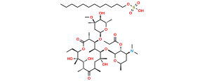 Erythromycin Estolate
