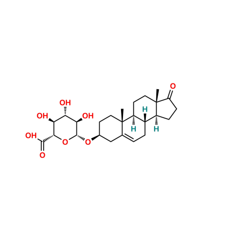 Dehydroepiandrosterone Glucuronide